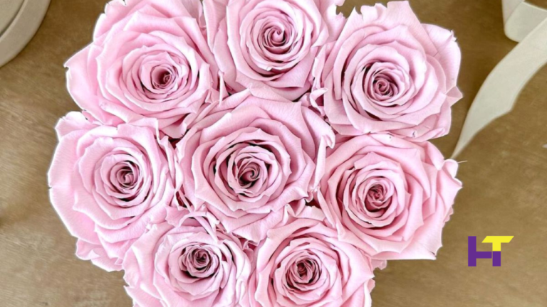 The Ultimate Guide to Infinity Rose Boxes: Everything You Need to Know